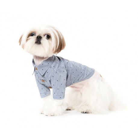 Shirt for dog