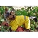Rain Coat for dog