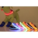Glowing LED collar for dog