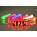 Glowing USB LED collar for dog