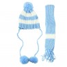 Hat and scarf for dogs